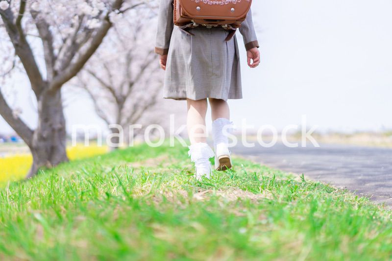 桜並木を歩くランドセルを背負った女の子