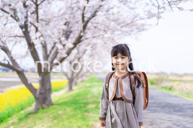 桜並木を歩くランドセルを背負った女の子