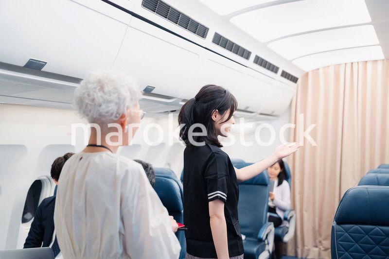 乗客に座席の案内をするキャビンアテンダント