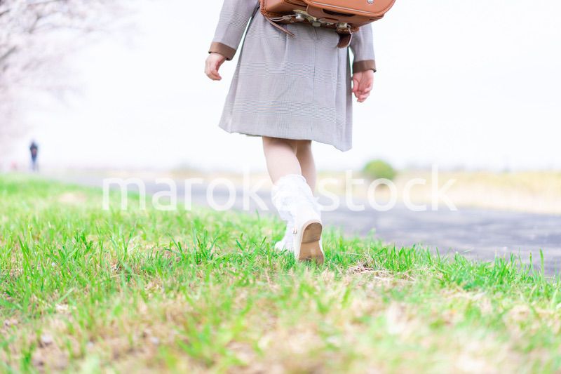 桜並木を歩くランドセルを背負った女の子