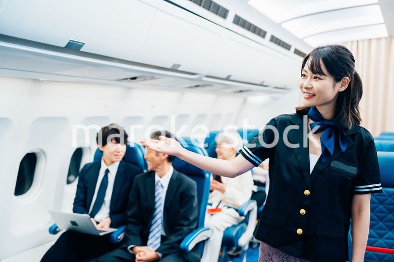 機内で働くキャビンアテンダント