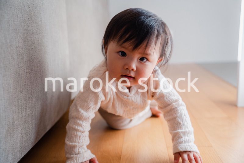 一人でハイハイをする赤ちゃん