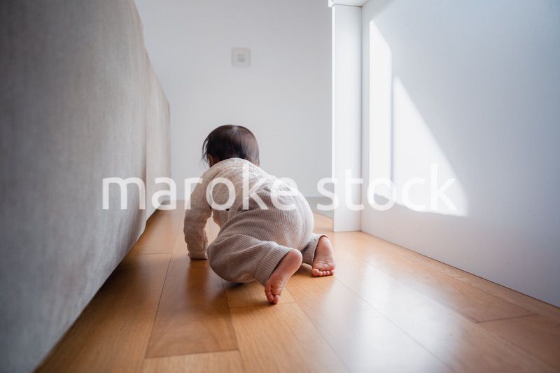一人でハイハイをする赤ちゃん