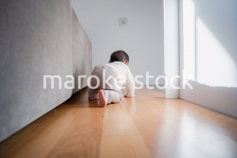 一人でハイハイをする赤ちゃん