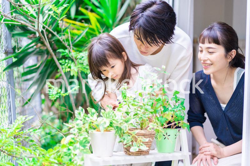 子供と一緒にガーデニングをする家族
