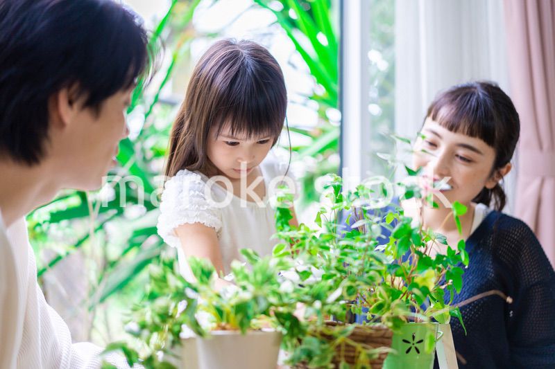 子供と一緒にガーデニングをする家族