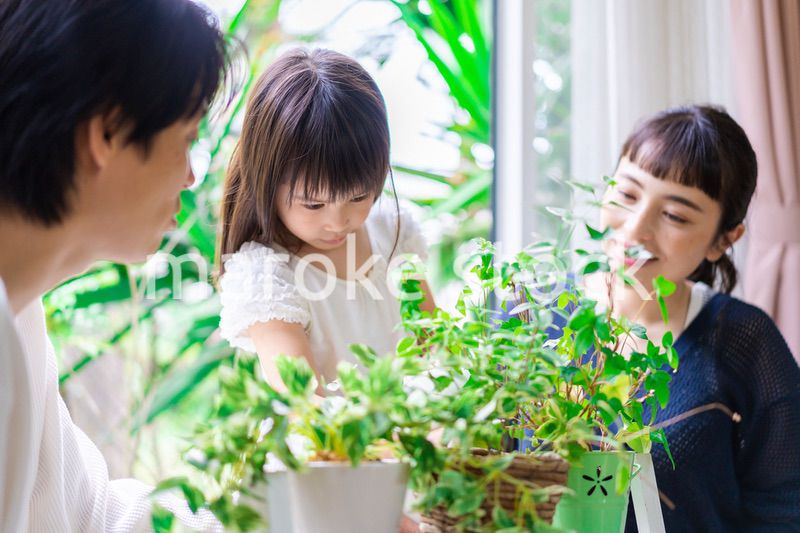 子供と一緒にガーデニングをする家族