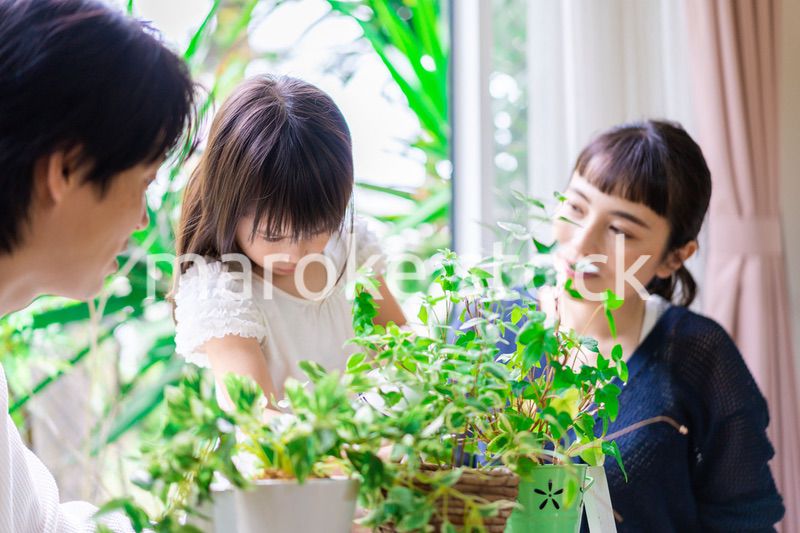 子供と一緒にガーデニングをする家族