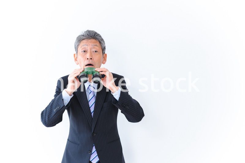 調査をする中年のビジネスマン