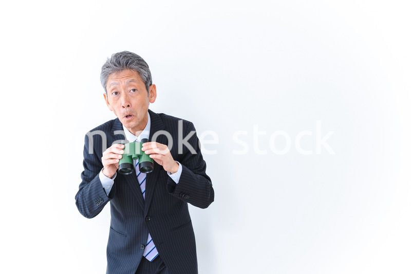 調査をする中年のビジネスマン