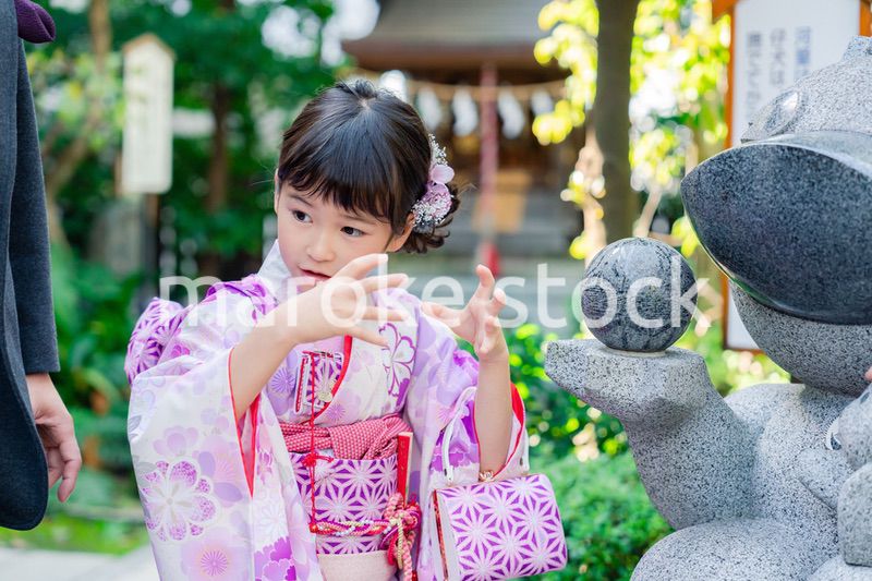 着物姿の女の子（七五三）