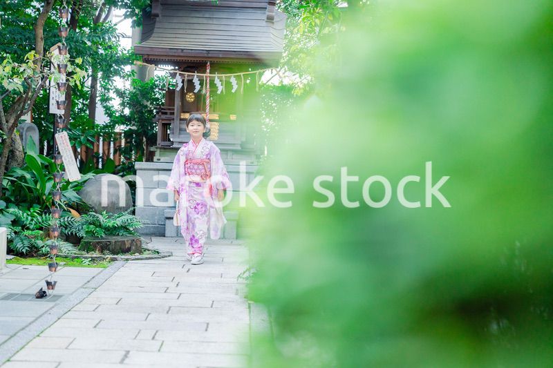 着物姿の女の子（七五三）