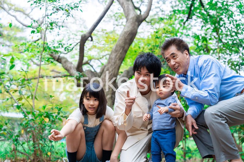 おじいちゃんと一緒に遊ぶ家族