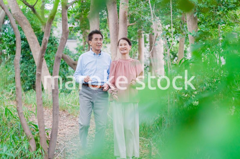 自然の中を散歩するシニアの夫婦