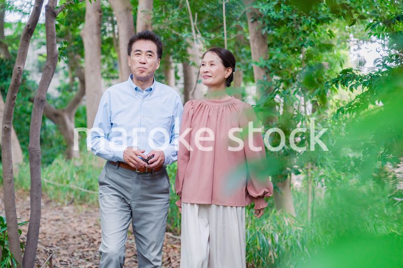 自然の中を散歩するシニアの夫婦