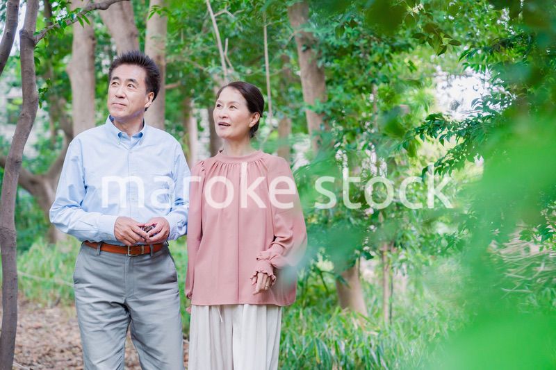 自然の中を散歩するシニアの夫婦