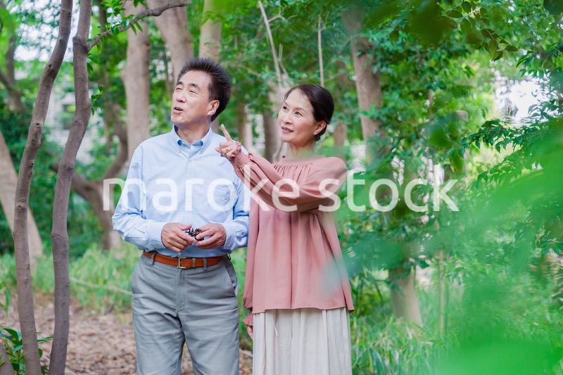 自然の中を散歩するシニアの夫婦