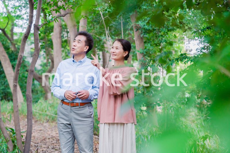 自然の中を散歩するシニアの夫婦