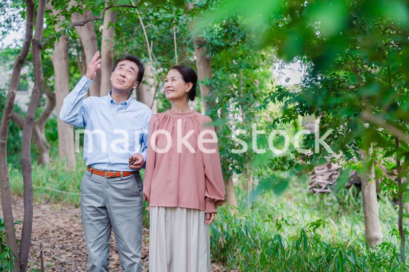 自然の中を散歩するシニアの夫婦