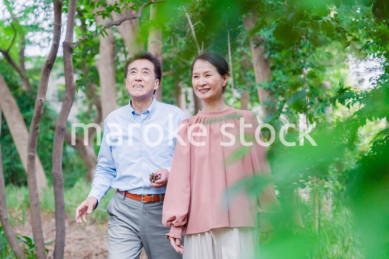 自然の中を散歩するシニアの夫婦