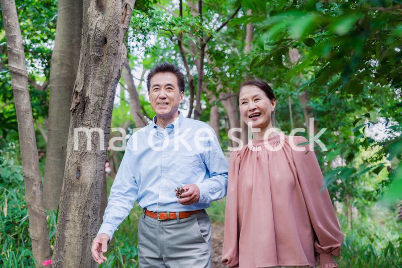 自然の中を散歩するシニアの夫婦