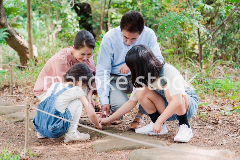 田舎の祖父母の家で遊ぶ孫たち