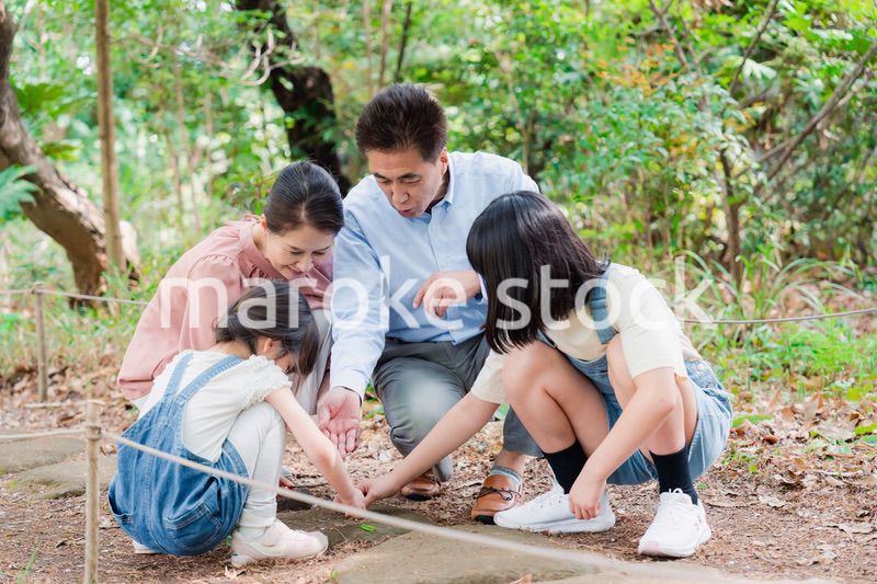 田舎の祖父母の家で遊ぶ孫たち
