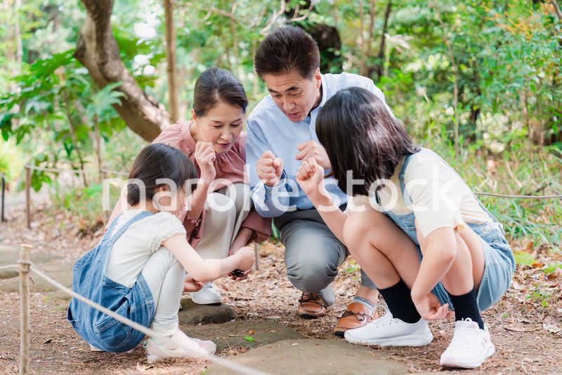 田舎の祖父母の家で遊ぶ孫たち