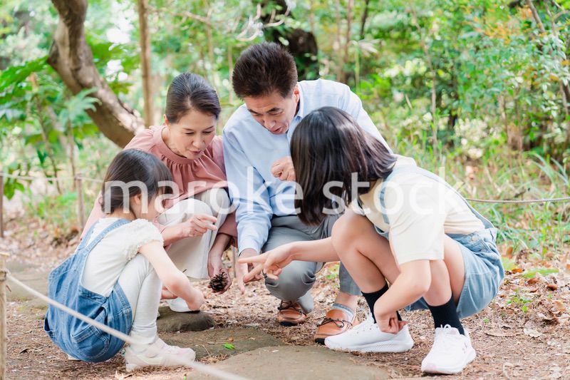 田舎の祖父母の家で遊ぶ孫たち