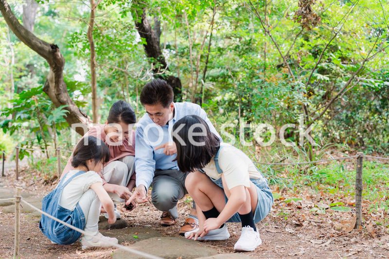 田舎の祖父母の家で遊ぶ孫たち