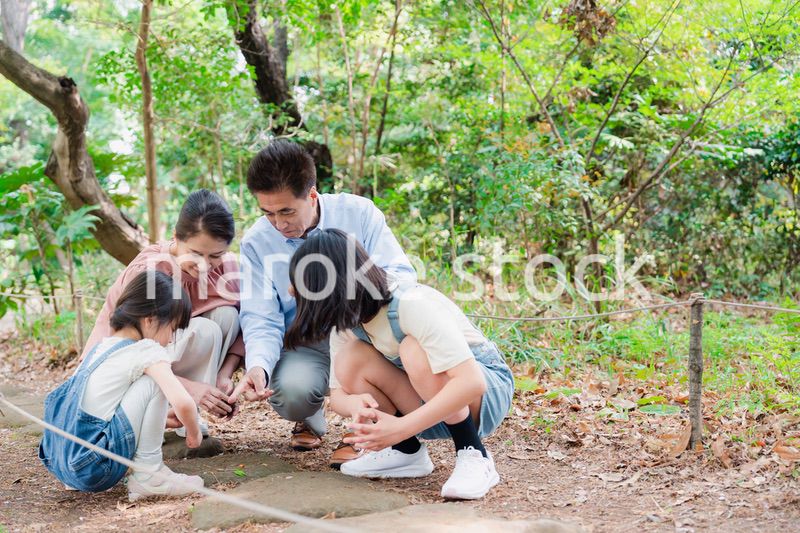 田舎の祖父母の家で遊ぶ孫たち