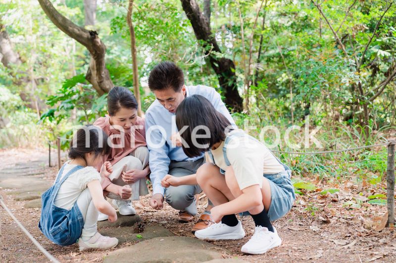 田舎の祖父母の家で遊ぶ孫たち