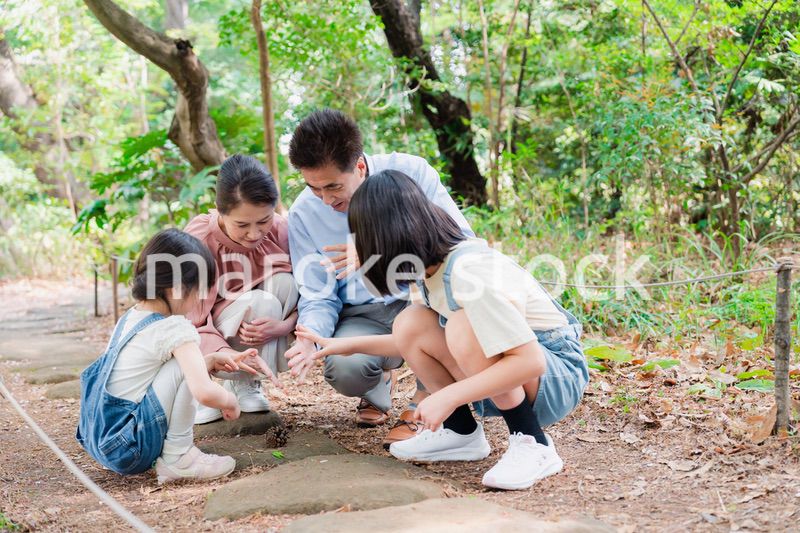 田舎の祖父母の家で遊ぶ孫たち