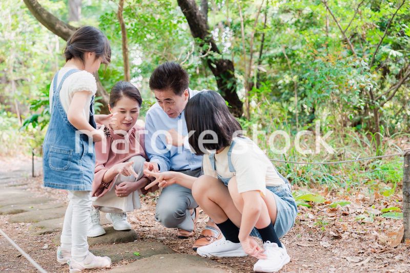 田舎の祖父母の家で遊ぶ孫たち