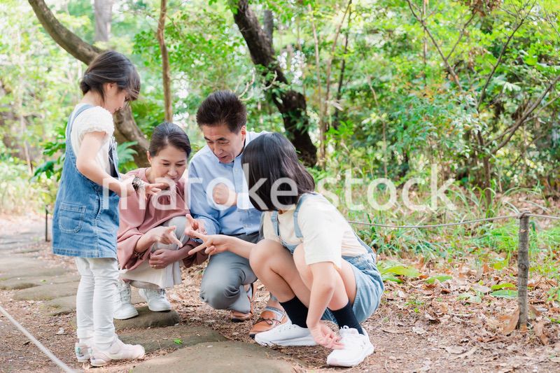 田舎の祖父母の家で遊ぶ孫たち