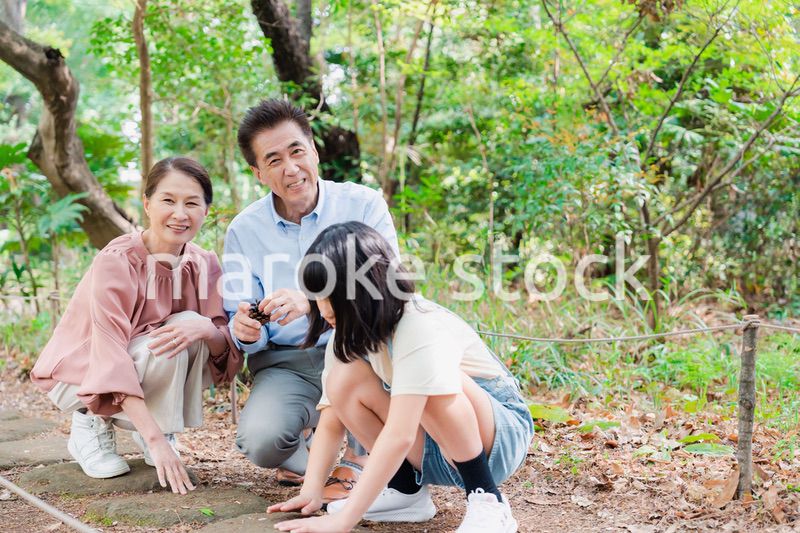 田舎の祖父母の家で遊ぶ孫たち