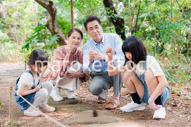 田舎の祖父母の家で遊ぶ孫たち