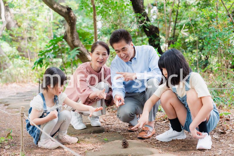 田舎の祖父母の家で遊ぶ孫たち