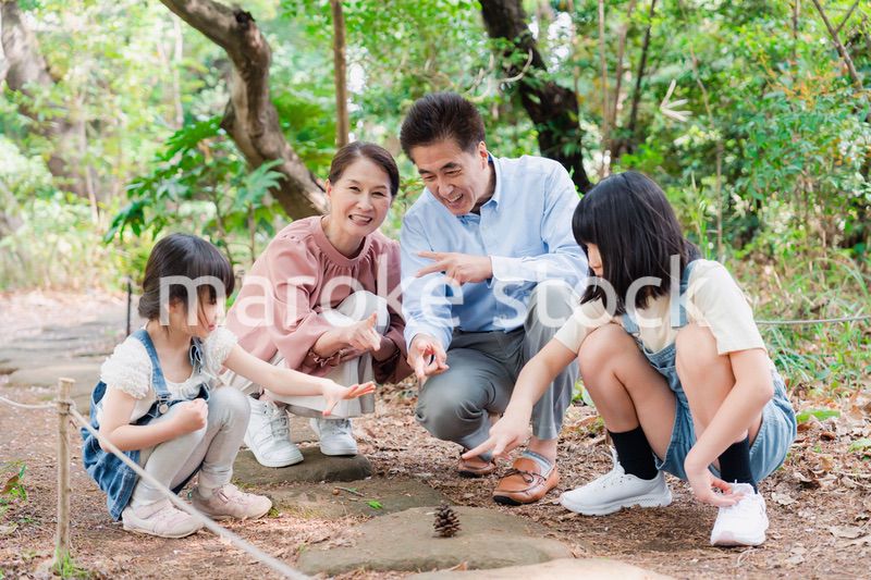 田舎の祖父母の家で遊ぶ孫たち