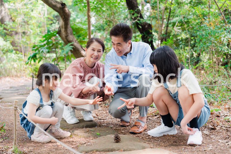 田舎の祖父母の家で遊ぶ孫たち
