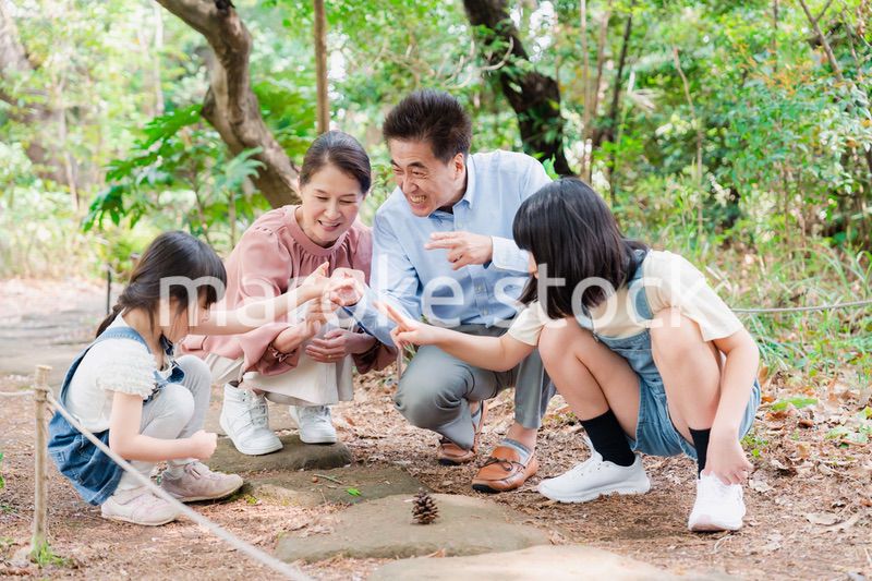 田舎の祖父母の家で遊ぶ孫たち