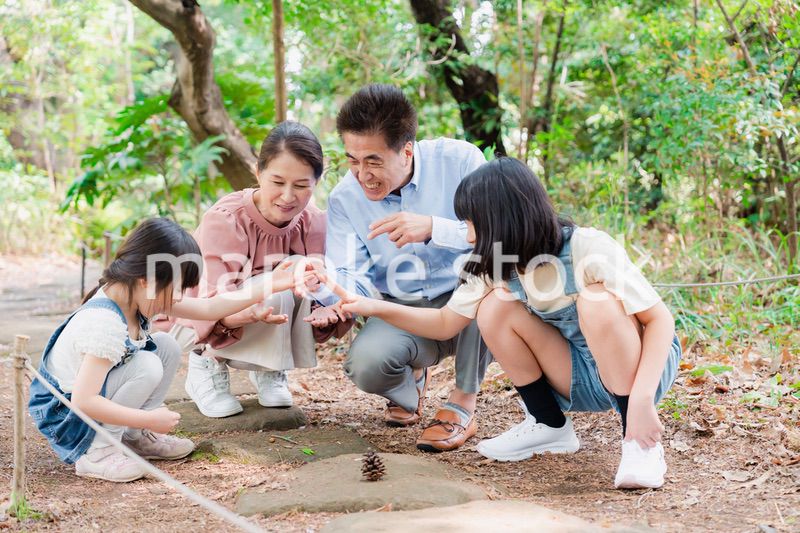 田舎の祖父母の家で遊ぶ孫たち