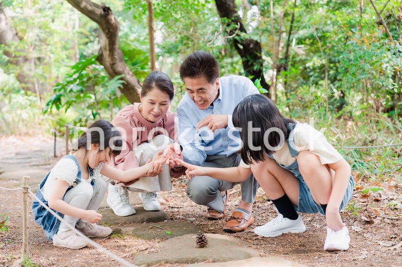 田舎の祖父母の家で遊ぶ孫たち