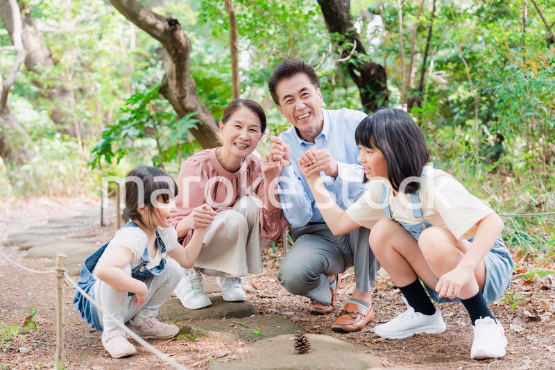 田舎の祖父母の家で遊ぶ孫たち
