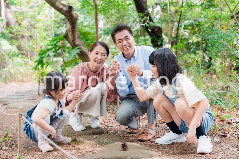 田舎の祖父母の家で遊ぶ孫たち