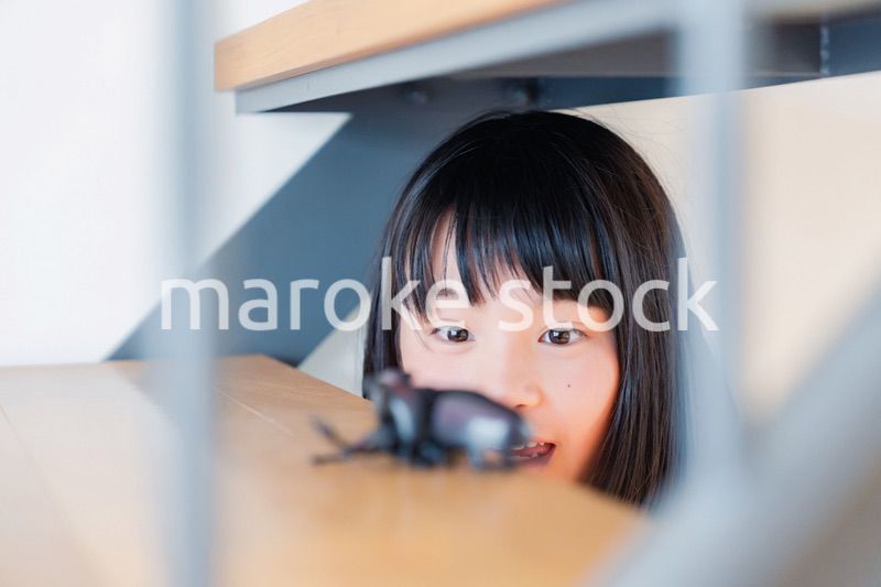 昆虫の観察をする小学生の女の子