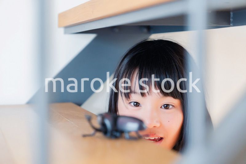 昆虫の観察をする小学生の女の子