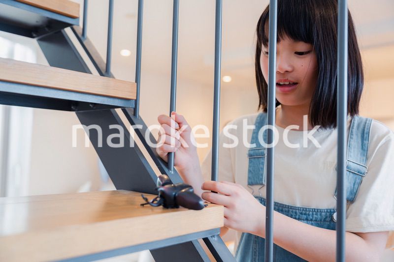 昆虫の観察をする小学生の女の子