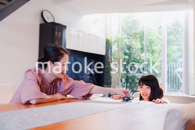 おばあちゃんと一緒に昆虫の観察をする女の子