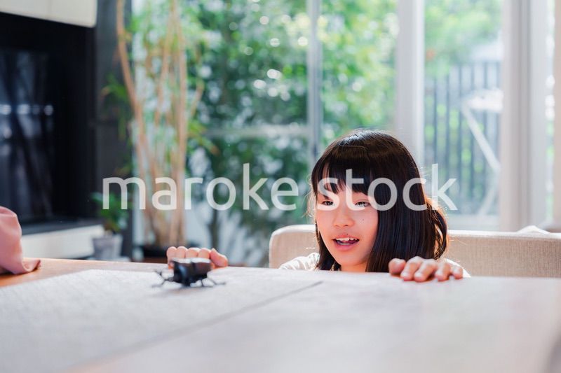 昆虫の観察をする小学生の女の子